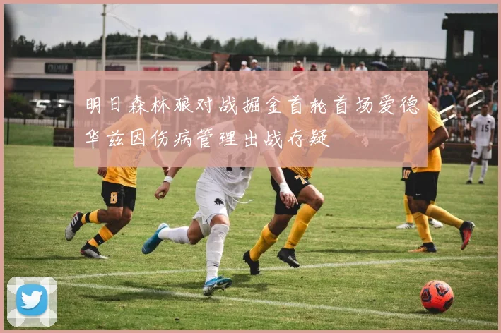 明日森林狼对战掘金首轮首场爱德华兹因伤病管理出战存疑